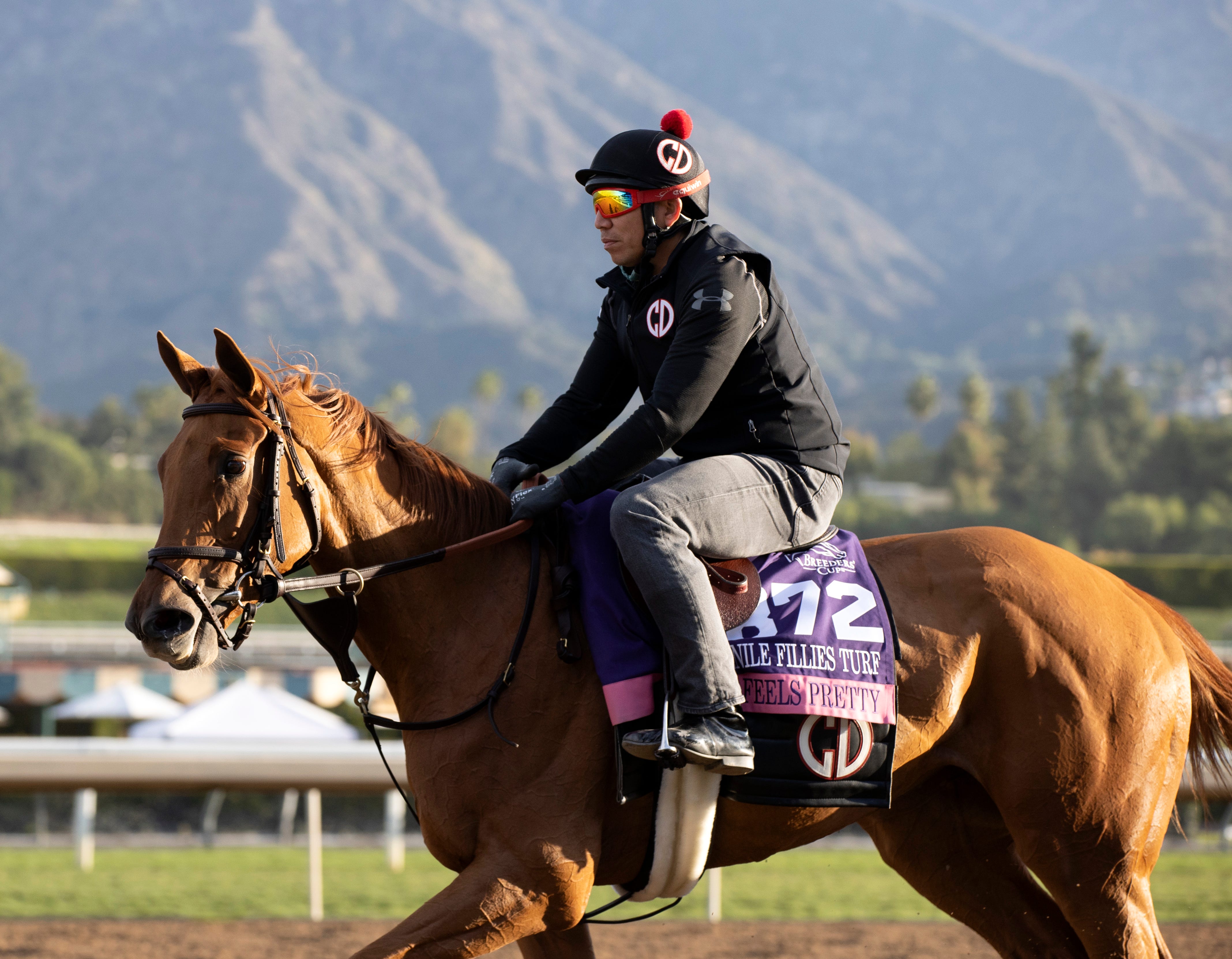 Breeders' Cup Juvenile Fillies Turf She Feels Pretty tries to reclaim